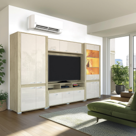 Cortina C14 Elemes bútorcsalád - TV-s elem | 165